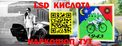 крисы Гатчина