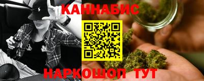 крисы Гатчина