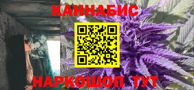 крисы Гатчина
