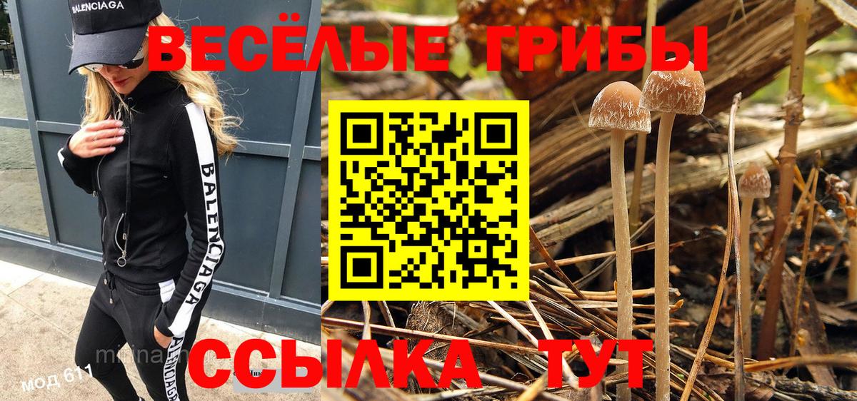 Истра  продажа наркотиков  Вход с VPN  Псилоцибиновые грибы GOLDEN TEACHER  Галлюциногенные грибы Cubensis 