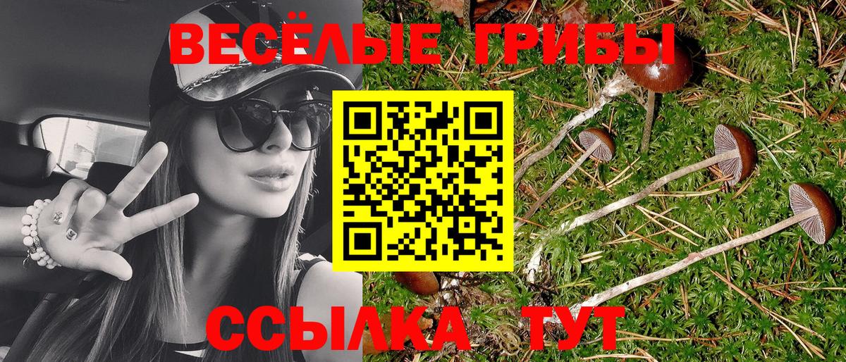 Галлюциногенные грибы ЛСД Истра